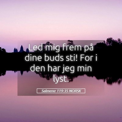 Picture 05 - Salmene 119:35 NORSK - Led mig frem på dine buds sti! For i den har jeg - Bible Verse Picture