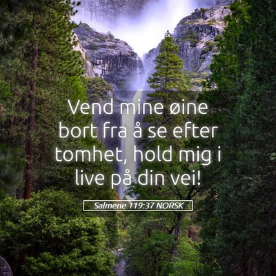 Picture 05 - Salmene 119:37 NORSK - Vend mine øine bort fra å se efter tomhet, hold - Bible Verse Picture