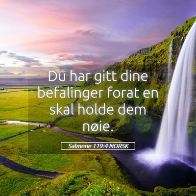 Picture 05 - Salmene 119:4 NORSK - Du har gitt dine befalinger forat en skal holde - Bible Verse Picture