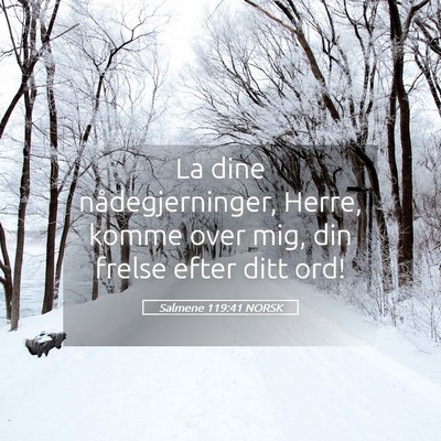 Picture 05 - Salmene 119:41 NORSK - La dine nådegjerninger, Herre, komme over mig, - Bible Verse Picture