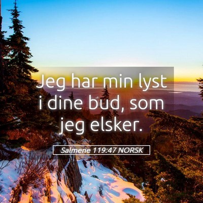 Picture 05 - Salmene 119:47 NORSK - Jeg har min lyst i dine bud, som jeg - Bible Verse Picture