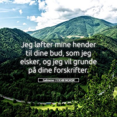 Picture 05 - Salmene 119:48 NORSK - Jeg løfter mine hender til dine bud, som jeg - Bible Verse Picture