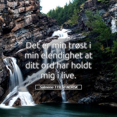Picture 05 - Salmene 119:50 NORSK - Det er min trøst i min elendighet at ditt ord - Bible Verse Picture