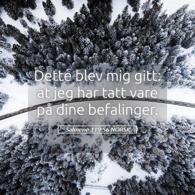 Picture 05 - Salmene 119:56 NORSK - Dette blev mig gitt: at jeg har tatt vare på - Bible Verse Picture