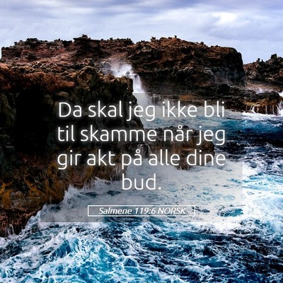 Picture 05 - Salmene 119:6 NORSK - Da skal jeg ikke bli til skamme når jeg gir akt - Bible Verse Picture