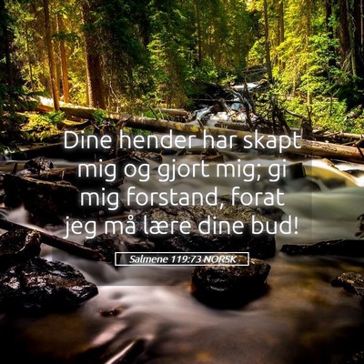 Picture 05 - Salmene 119:73 NORSK - Dine hender har skapt mig og gjort mig; gi mig - Bible Verse Picture
