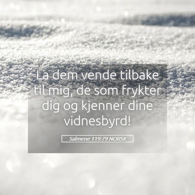 Picture 05 - Salmene 119:79 NORSK - La dem vende tilbake til mig, de som frykter dig - Bible Verse Picture
