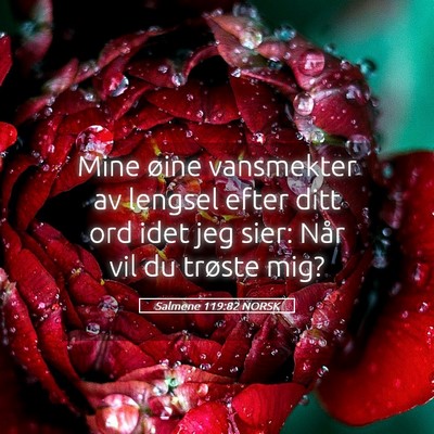 Picture 05 - Salmene 119:82 NORSK - Mine øine vansmekter av lengsel efter ditt ord - Bible Verse Picture