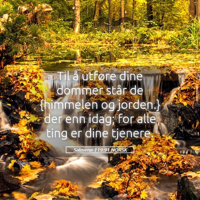 Picture 05 - Salmene 119:91 NORSK - Til å utføre dine dommer står de {himmelen og - Bible Verse Picture
