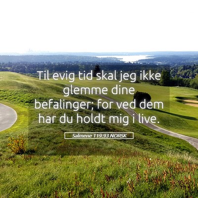 Picture 05 - Salmene 119:93 NORSK - Til evig tid skal jeg ikke glemme dine - Bible Verse Picture