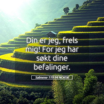 Picture 05 - Salmene 119:94 NORSK - Din er jeg, frels mig! For jeg har søkt dine - Bible Verse Picture