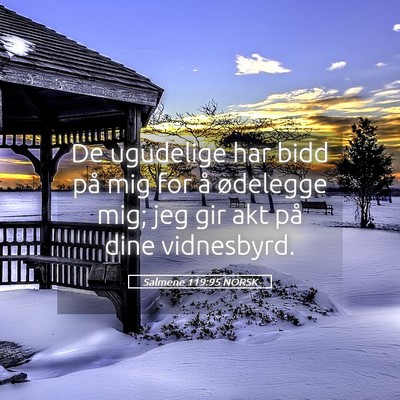 Picture 05 - Salmene 119:95 NORSK - De ugudelige har bidd på mig for å ødelegge - Bible Verse Picture