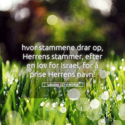 Picture 05 - Salmene 122:4 NORSK - hvor stammene drar op, Herrens stammer, efter en - Bible Verse Picture