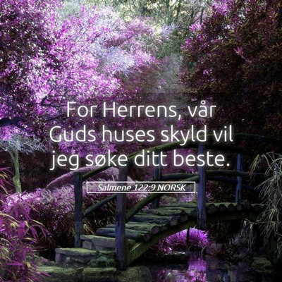 Picture 05 - Salmene 122:9 NORSK - For Herrens, vår Guds huses skyld vil jeg søke - Bible Verse Picture