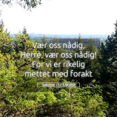 Picture 05 - Salmene 123:3 NORSK - Vær oss nådig, Herre, vær oss nådig! For vi - Bible Verse Picture