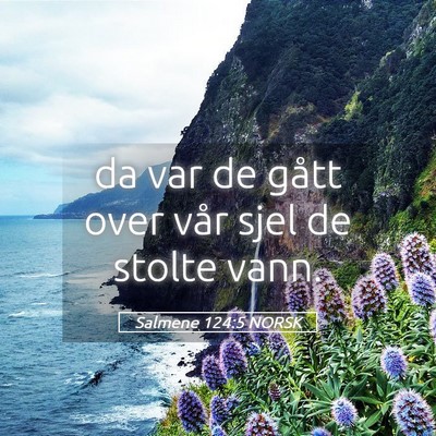 Picture 05 - Salmene 124:5 NORSK - da var de gått over vår sjel de stolte - Bible Verse Picture