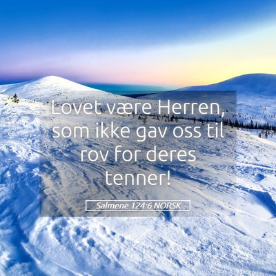Picture 05 - Salmene 124:6 NORSK - Lovet være Herren, som ikke gav oss til rov for - Bible Verse Picture