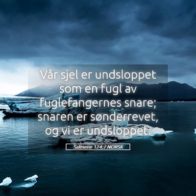 Picture 05 - Salmene 124:7 NORSK - Vår sjel er undsloppet som en fugl av - Bible Verse Picture