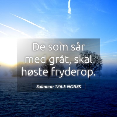 Picture 05 - Salmene 126:5 NORSK - De som sår med gråt, skal høste - Bible Verse Picture