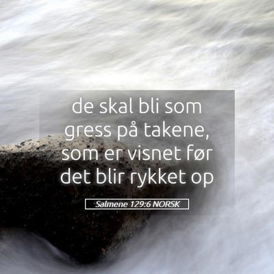 Picture 05 - Salmene 129:6 NORSK - de skal bli som gress på takene, som er visnet - Bible Verse Picture