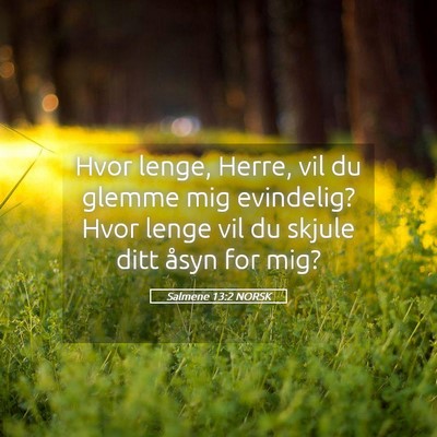 Picture 05 - Salmene 13:2 NORSK - Hvor lenge, Herre, vil du glemme mig evindelig? - Bible Verse Picture