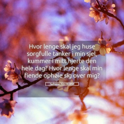 Picture 05 - Salmene 13:3 NORSK - Hvor lenge skal jeg huse sorgfulle tanker i min - Bible Verse Picture