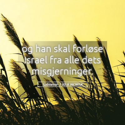 Picture 05 - Salmene 130:8 NORSK - og han skal forløse Israel fra alle dets - Bible Verse Picture