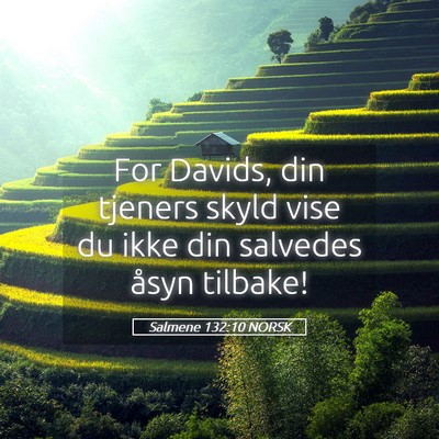 Picture 05 - Salmene 132:10 NORSK - For Davids, din tjeners skyld vise du ikke din - Bible Verse Picture