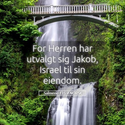 Picture 05 - Salmene 135:4 NORSK - For Herren har utvalgt sig Jakob, Israel til sin - Bible Verse Picture