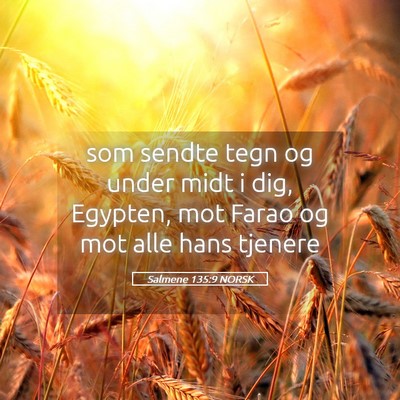 Picture 05 - Salmene 135:9 NORSK - som sendte tegn og under midt i dig, Egypten, mot - Bible Verse Picture