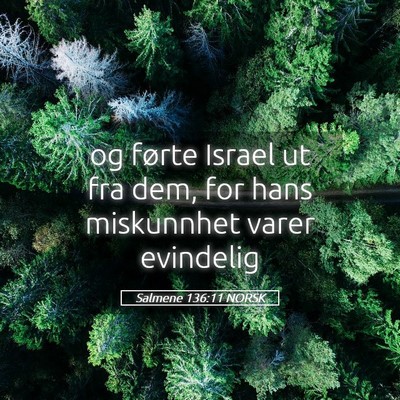 Picture 05 - Salmene 136:11 NORSK - og førte Israel ut fra dem, for hans miskunnhet - Bible Verse Picture