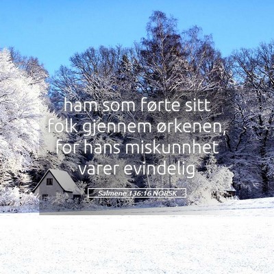 Picture 05 - Salmene 136:16 NORSK - ham som førte sitt folk gjennem ørkenen, for - Bible Verse Picture