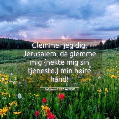 Picture 05 - Salmene 137:5 NORSK - Glemmer jeg dig, Jerusalem, da glemme mig {nekte - Bible Verse Picture