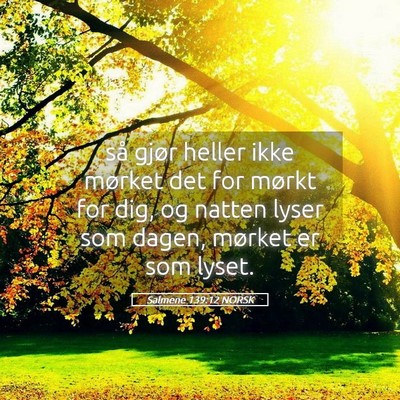 Picture 05 - Salmene 139:12 NORSK - så gjør heller ikke mørket det for mørkt for - Bible Verse Picture