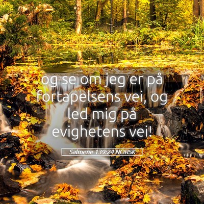 Picture 05 - Salmene 139:24 NORSK - og se om jeg er på fortapelsens vei, og led mig - Bible Verse Picture