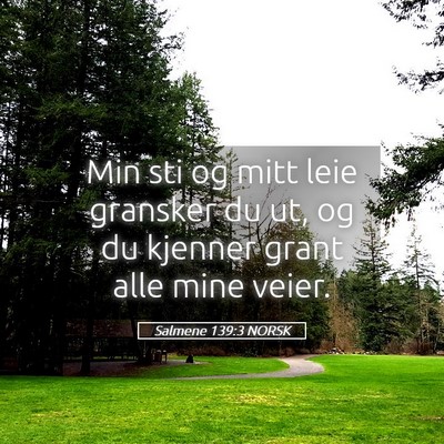 Picture 05 - Salmene 139:3 NORSK - Min sti og mitt leie gransker du ut, og du - Bible Verse Picture