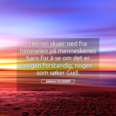 Picture 05 - Salmene 14:2 NORSK - Herren skuer ned fra himmelen på menneskenes - Bible Verse Picture