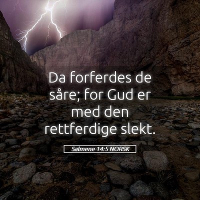 Picture 05 - Salmene 14:5 NORSK - Da forferdes de såre; for Gud er med den - Bible Verse Picture