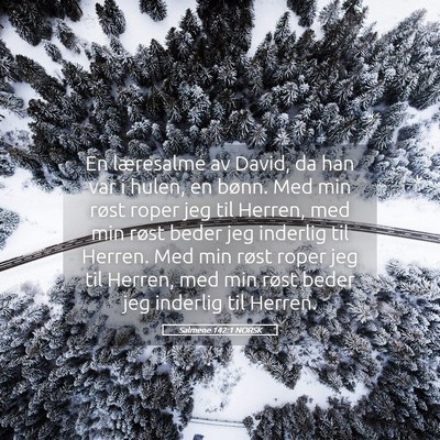 Picture 05 - Salmene 142:1 NORSK - En læresalme av David, da han var i hulen, en - Bible Verse Picture