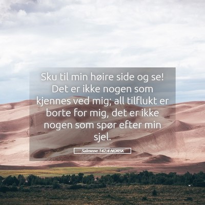Picture 05 - Salmene 142:4 NORSK - Sku til min høire side og se! Det er ikke nogen - Bible Verse Picture