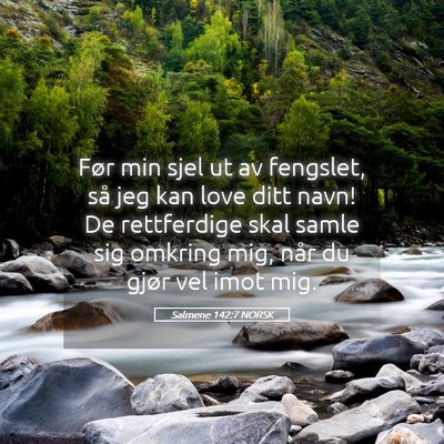 Picture 05 - Salmene 142:7 NORSK - Før min sjel ut av fengslet, så jeg kan love - Bible Verse Picture