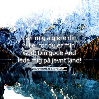 Picture 05 - Salmene 143:10 NORSK - Lær mig å gjøre din vilje, for du er min Gud! - Bible Verse Picture