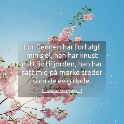 Picture 05 - Salmene 143:3 NORSK - For fienden har forfulgt min sjel, han har knust - Bible Verse Picture