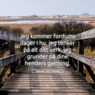 Picture 05 - Salmene 143:5 NORSK - Jeg kommer fordums dager i hu, jeg tenker på alt - Bible Verse Picture
