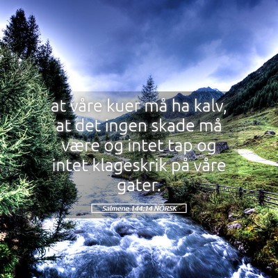 Picture 05 - Salmene 144:14 NORSK - at våre kuer må ha kalv, at det ingen skade må - Bible Verse Picture