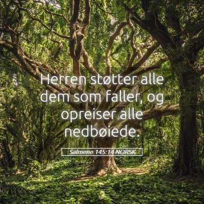 Picture 05 - Salmene 145:14 NORSK - Herren støtter alle dem som faller, og opreiser - Bible Verse Picture