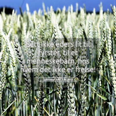 Picture 05 - Salmene 146:3 NORSK - Sett ikke eders lit til fyrster, til et - Bible Verse Picture