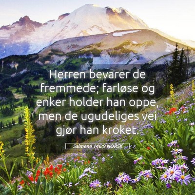 Picture 05 - Salmene 146:9 NORSK - Herren bevarer de fremmede; farløse og enker - Bible Verse Picture