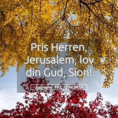 Picture 05 - Salmene 147:12 NORSK - Pris Herren, Jerusalem, lov din Gud, - Bible Verse Picture