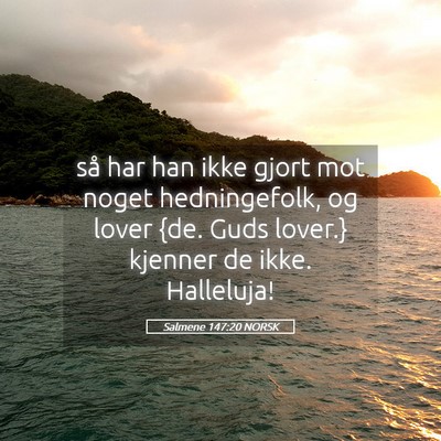 Picture 05 - Salmene 147:20 NORSK - så har han ikke gjort mot noget hedningefolk, og - Bible Verse Picture